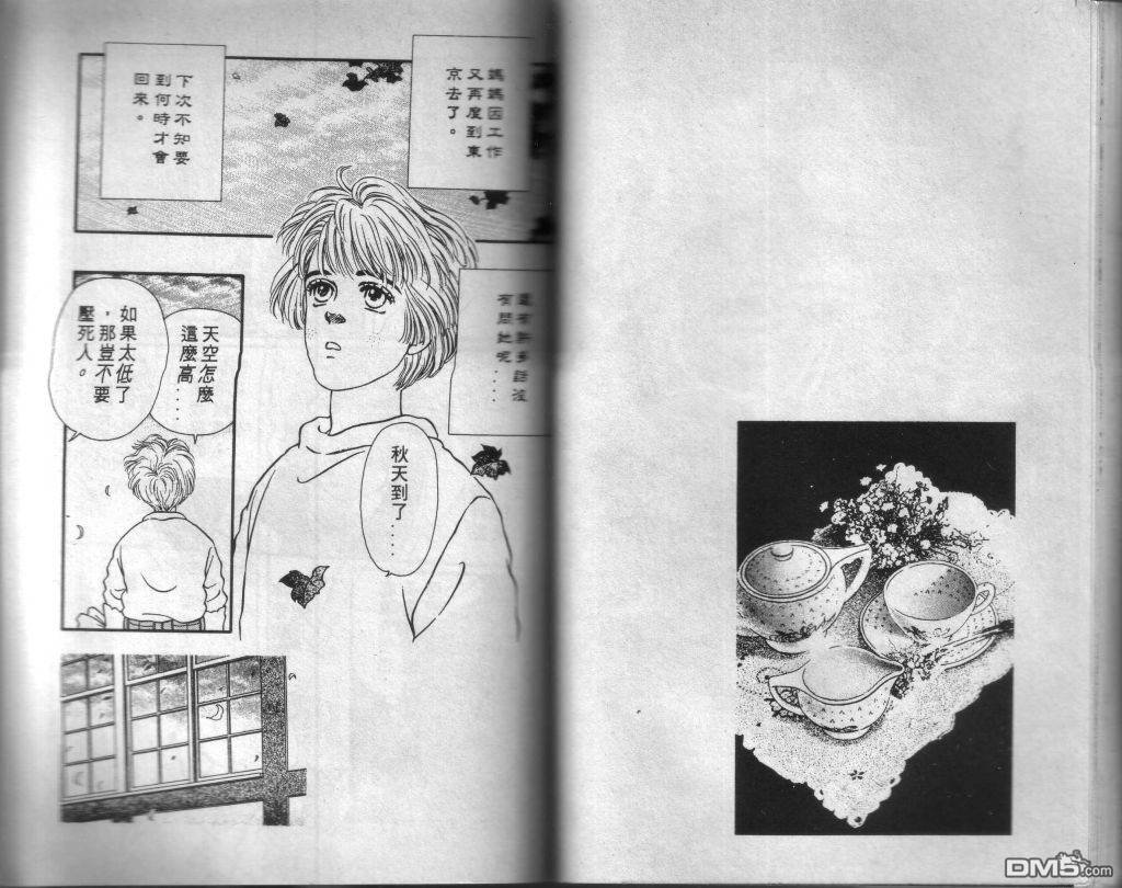 蔷薇之恋漫画-图47