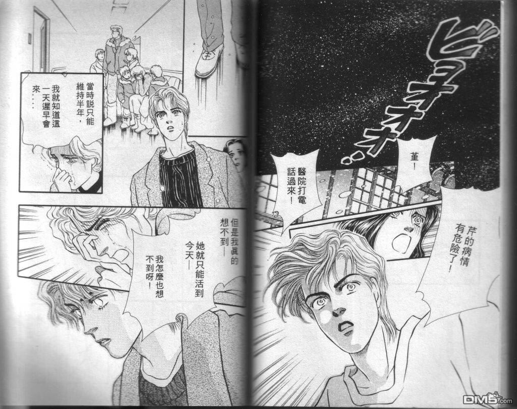 蔷薇之恋漫画-图87