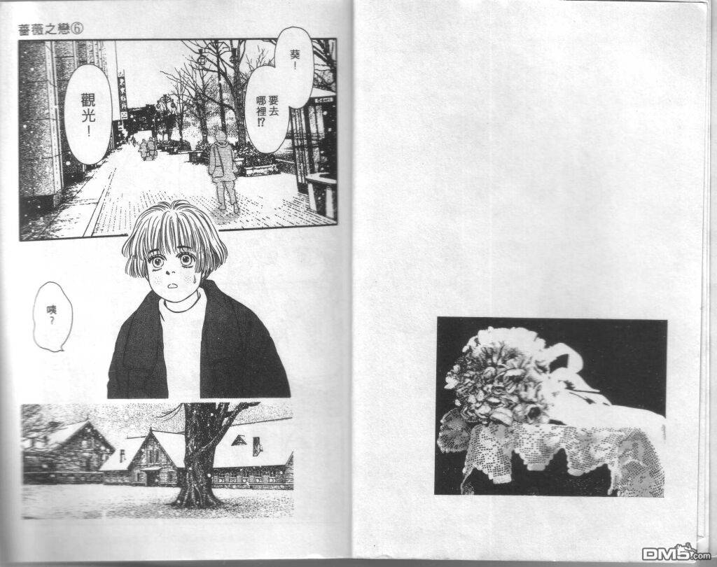 蔷薇之恋第6卷图