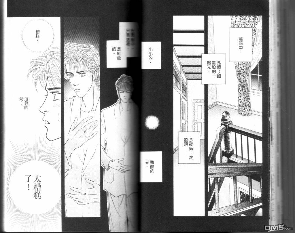 蔷薇之恋第9卷图