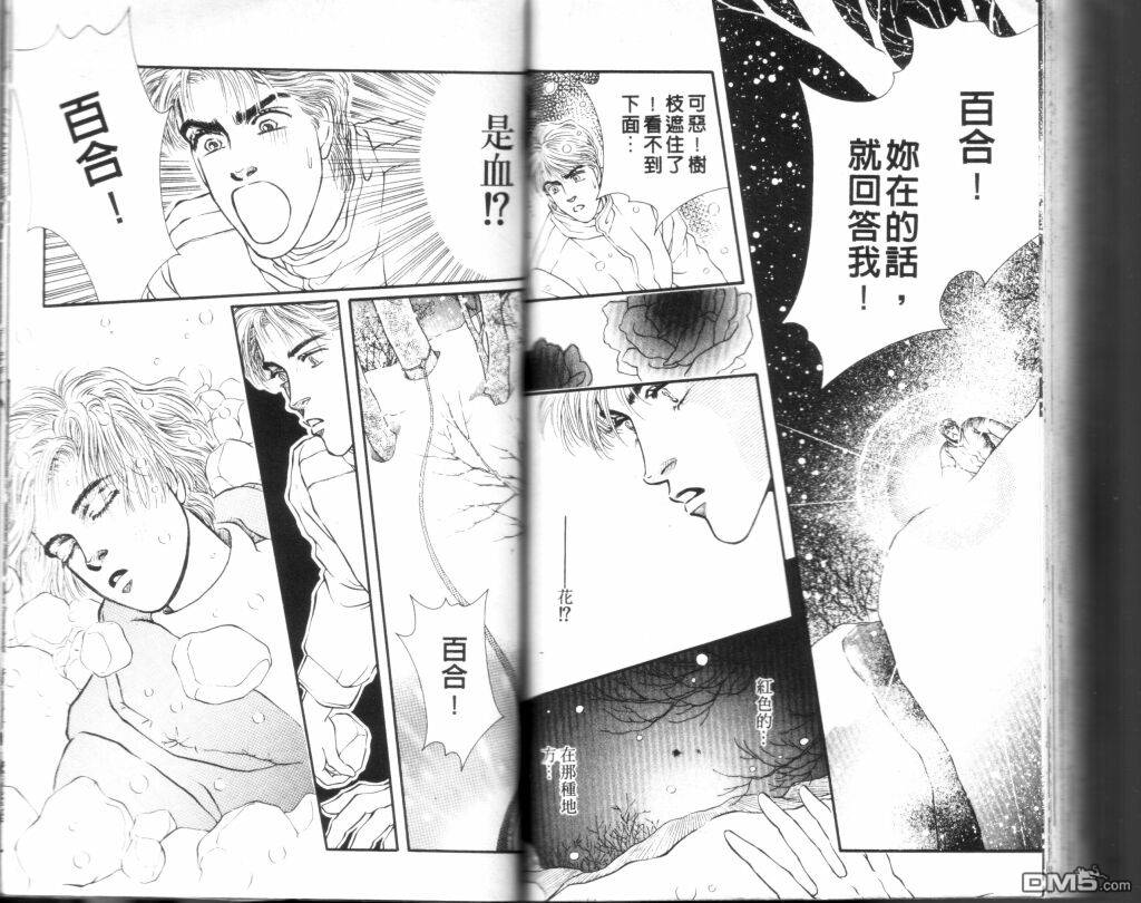 蔷薇之恋第9卷图