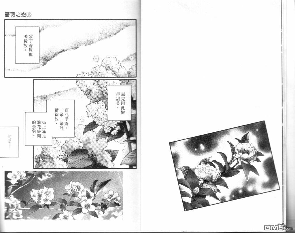 蔷薇之恋第13卷图