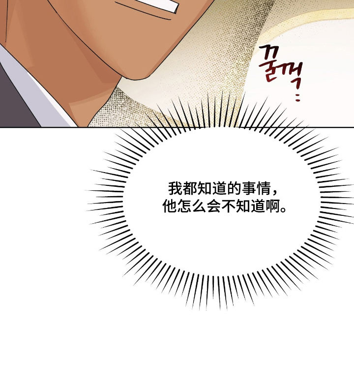 枪膛余温漫画-图19