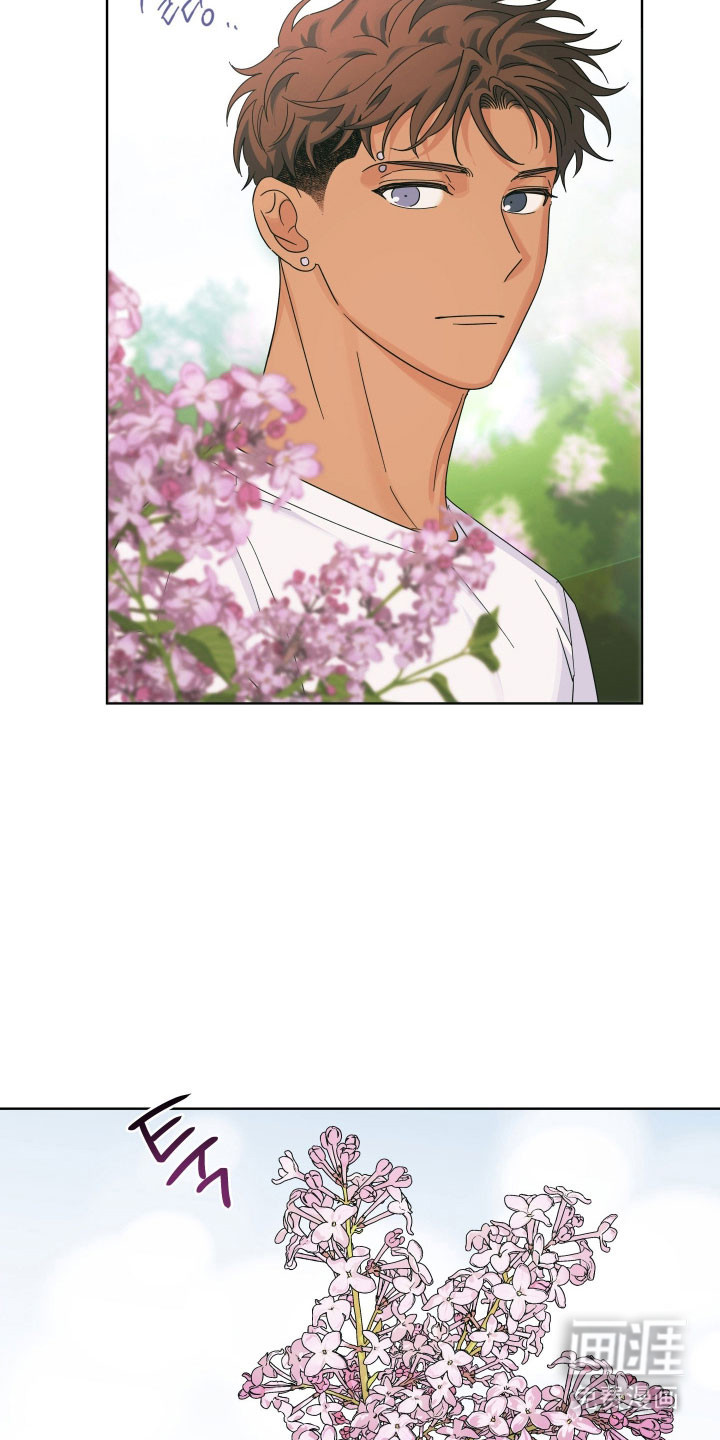 枪膛余温漫画-图4