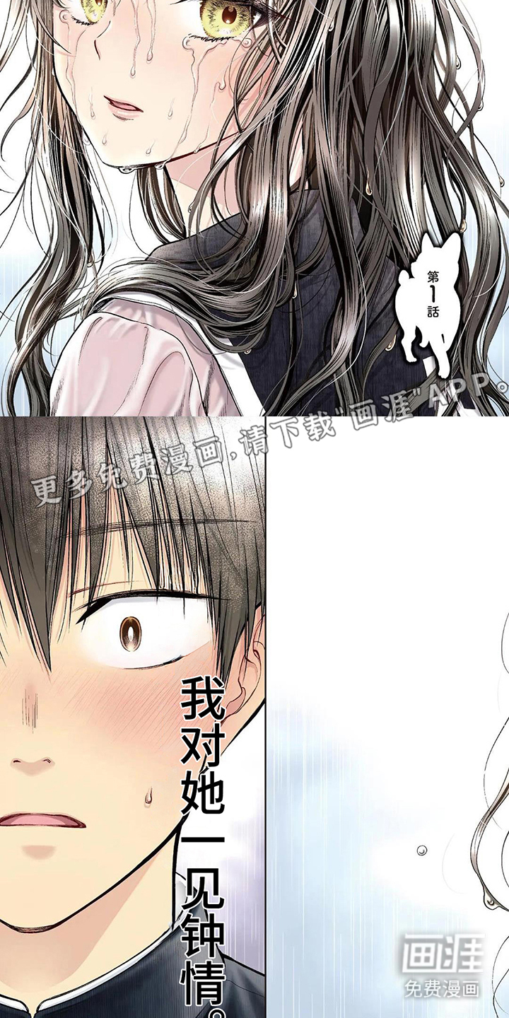 七代复仇计划漫画-图1