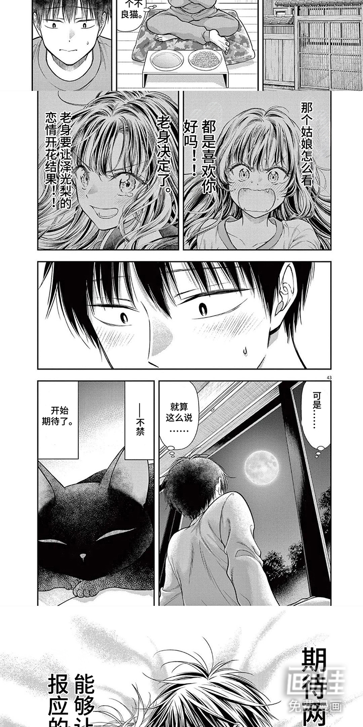 七代复仇计划漫画-图2