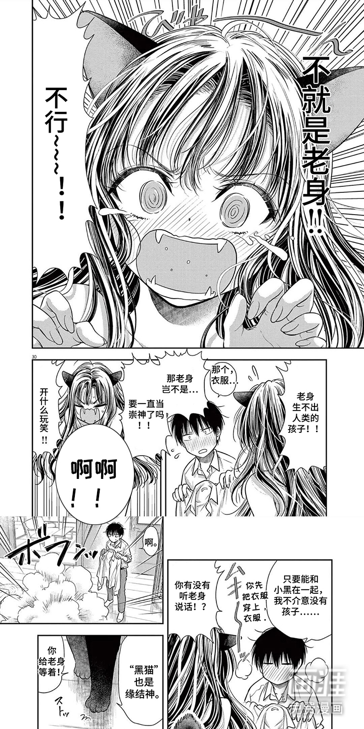 七代复仇计划漫画-图0
