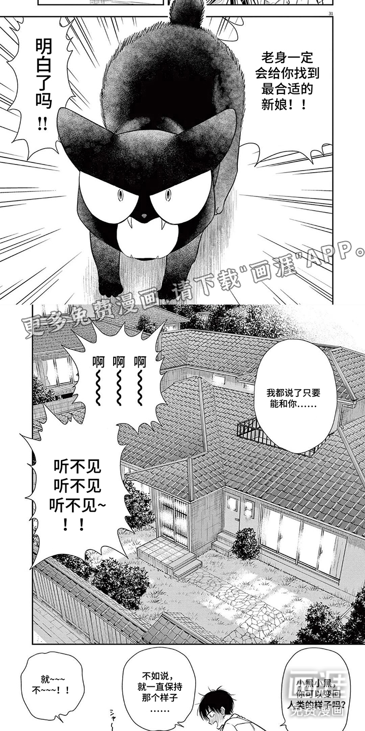 七代复仇计划漫画-图1
