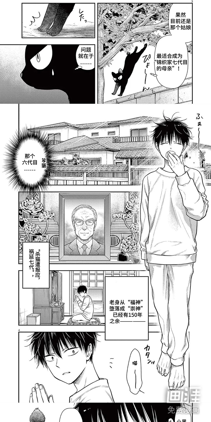 七代复仇计划漫画-图4
