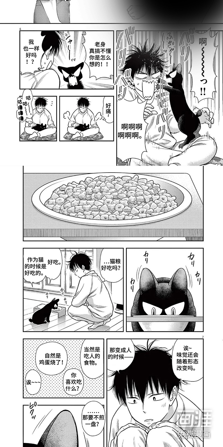 七代复仇计划漫画-图6