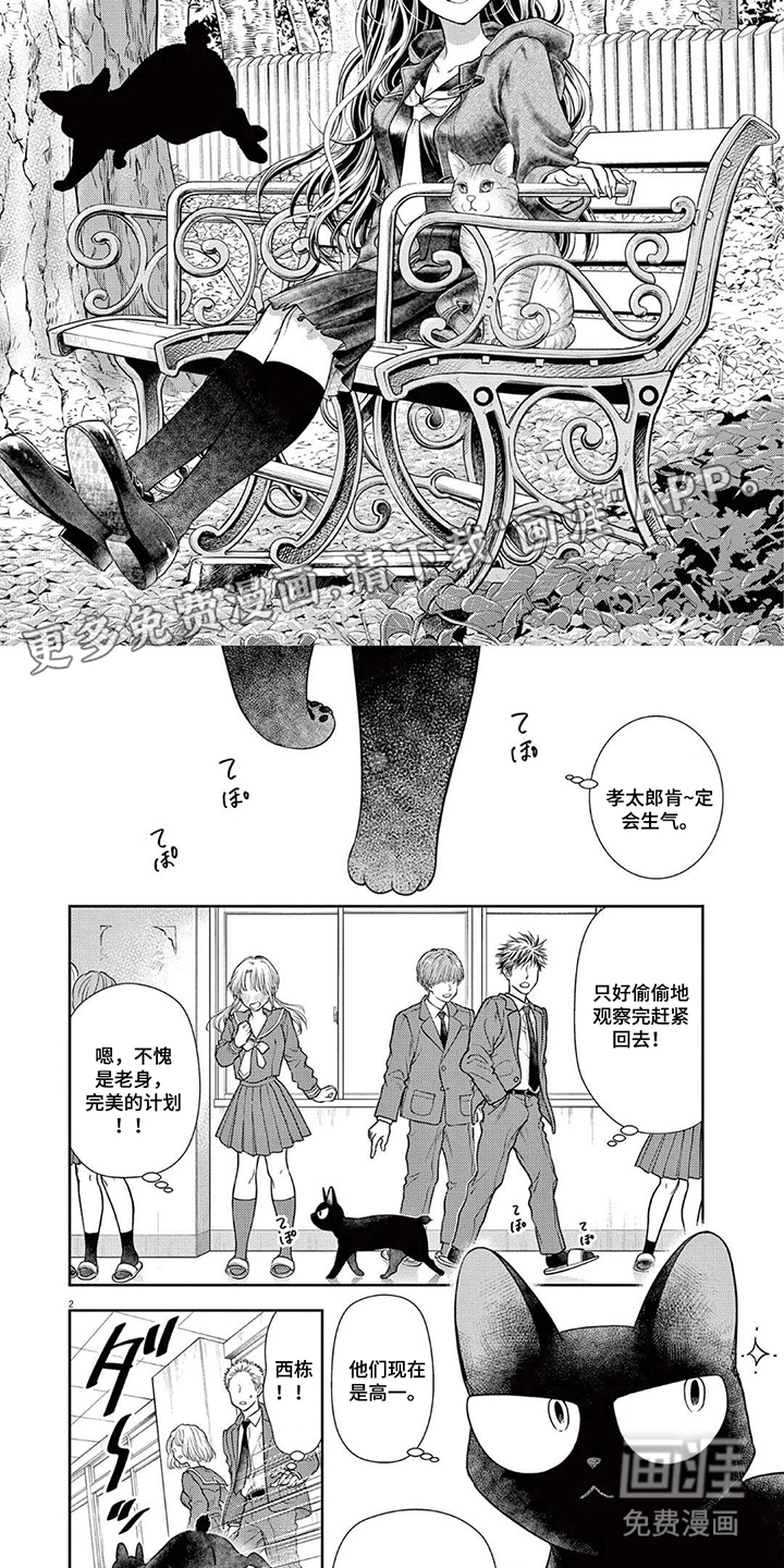 七代复仇计划漫画-图1