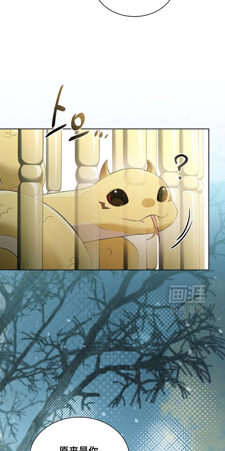 千载渡尘漫画-图20