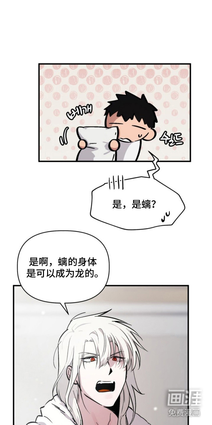 千年灵物盯上我第10话图