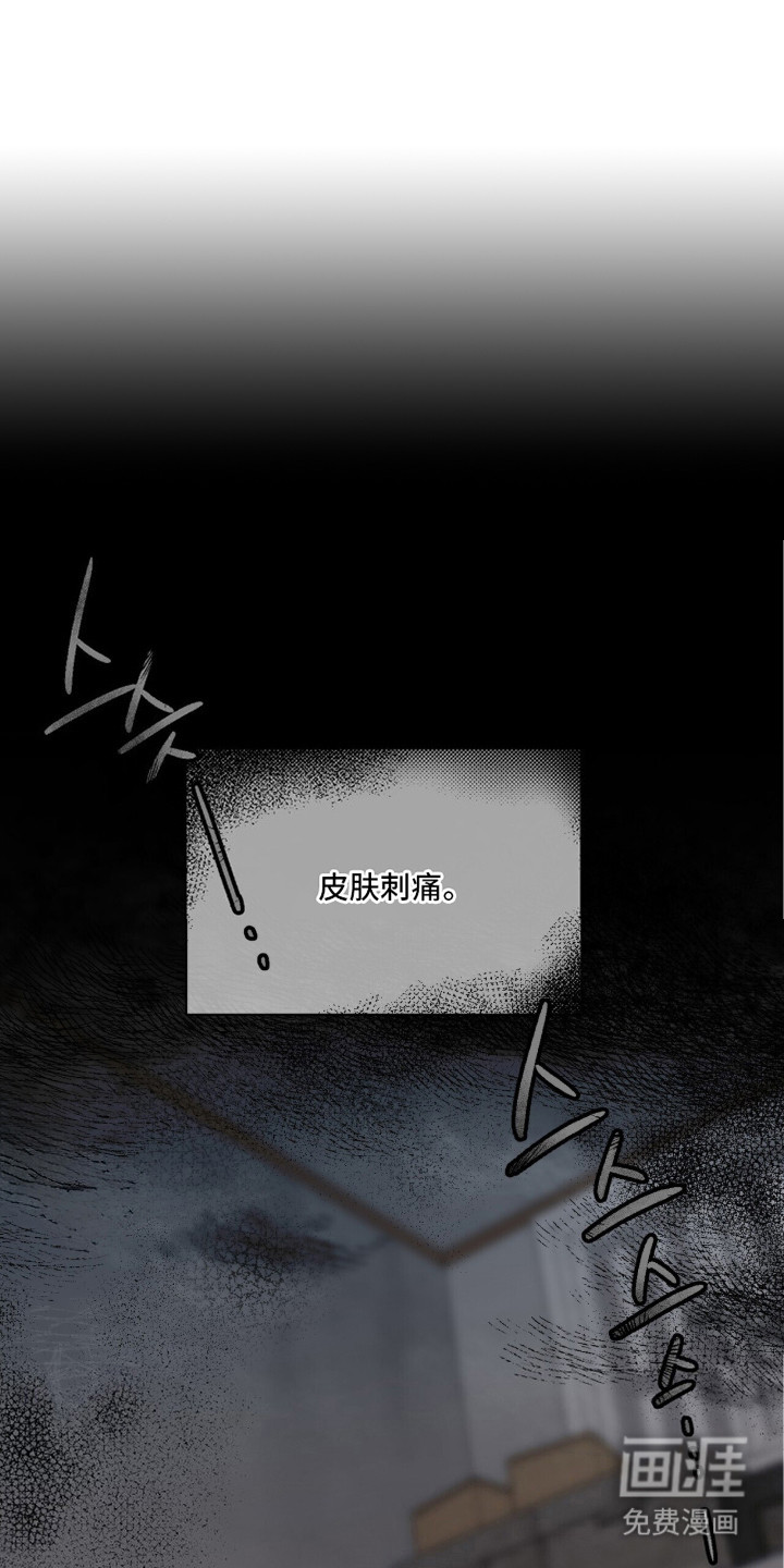 千年灵物盯上我第11话图