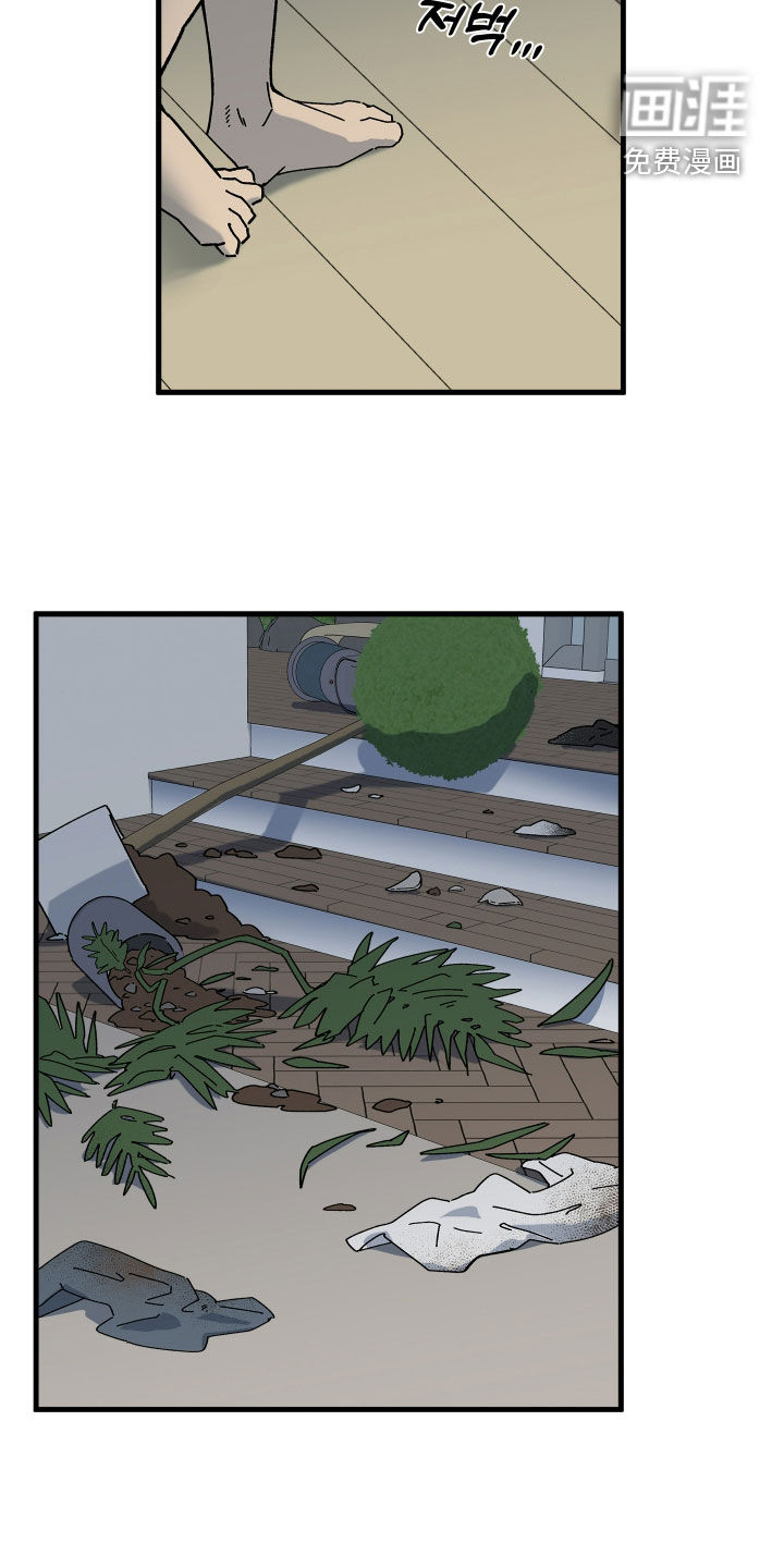 前世的恋爱债漫画-图8