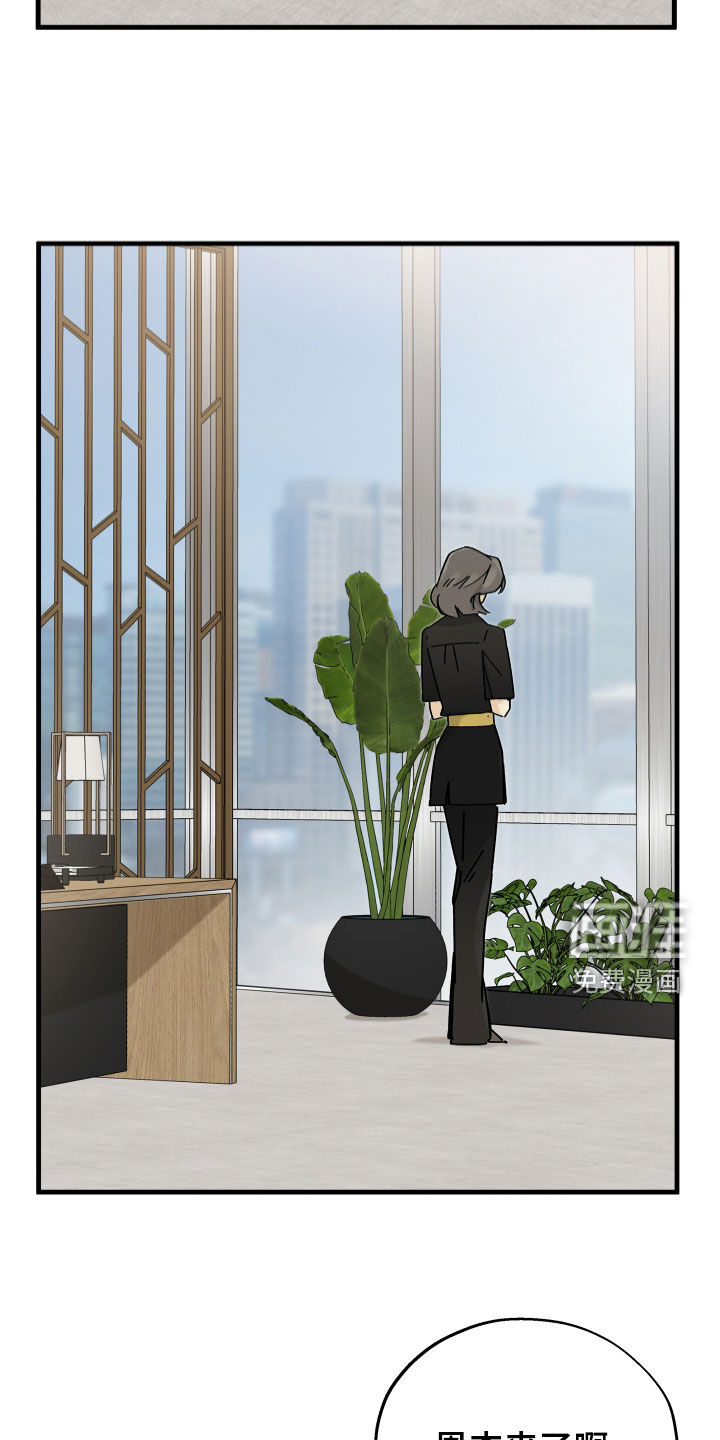 前世的恋爱债漫画-图14