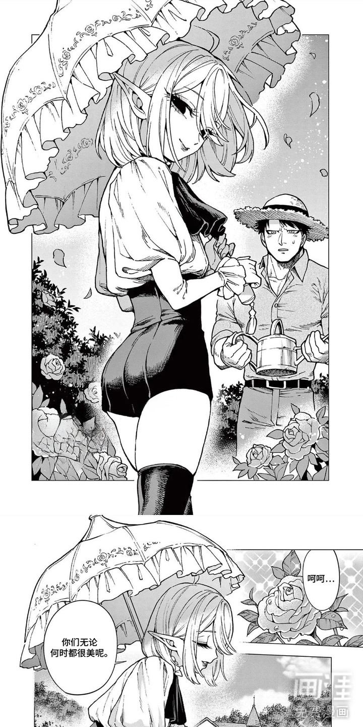 蔷薇与少年第11话第1页