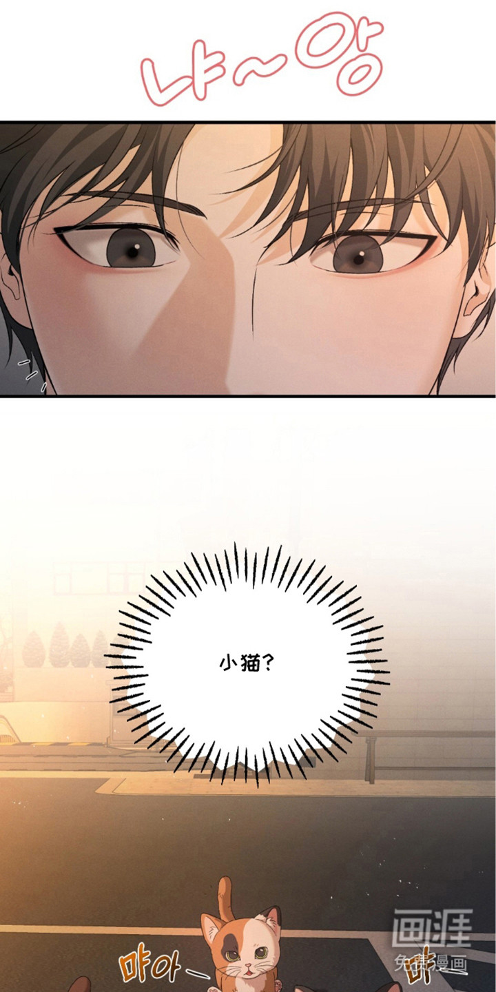 亲密对手戏漫画-图17