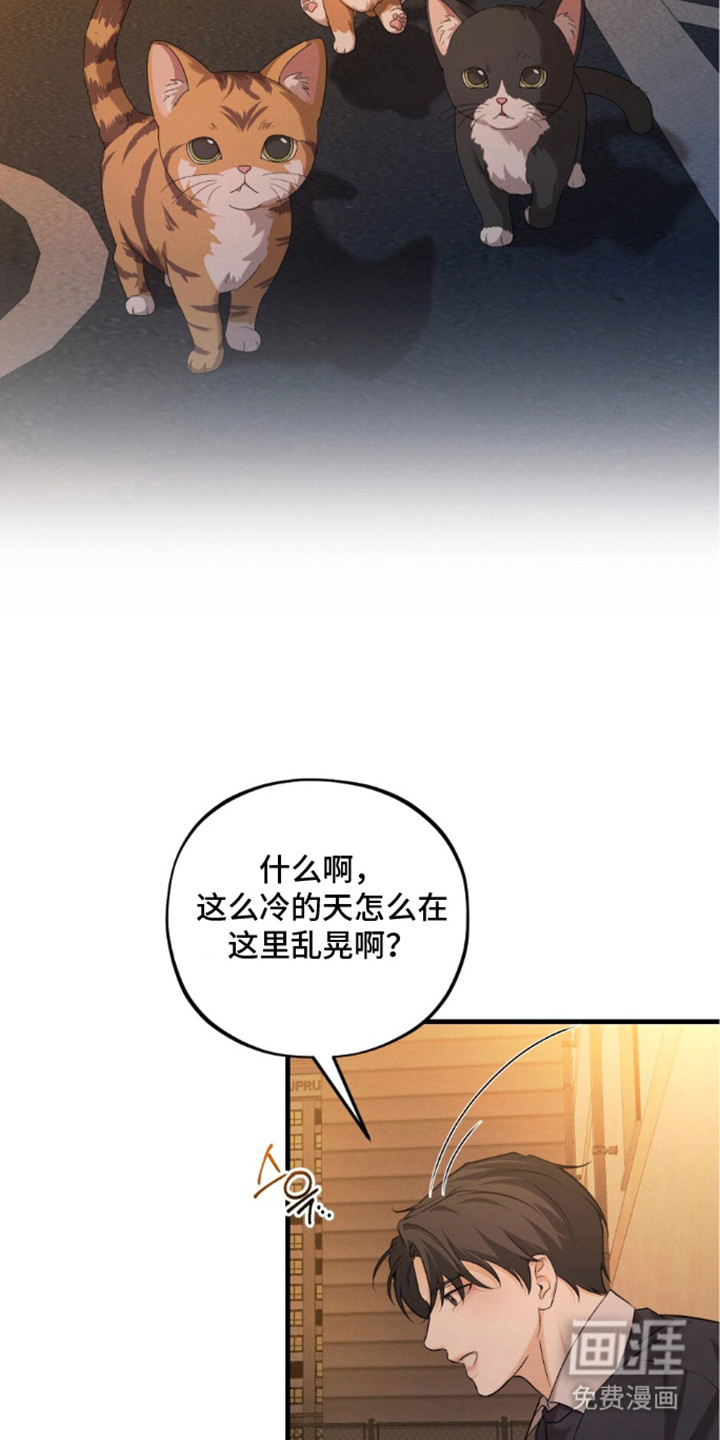 亲密对手戏漫画-图18