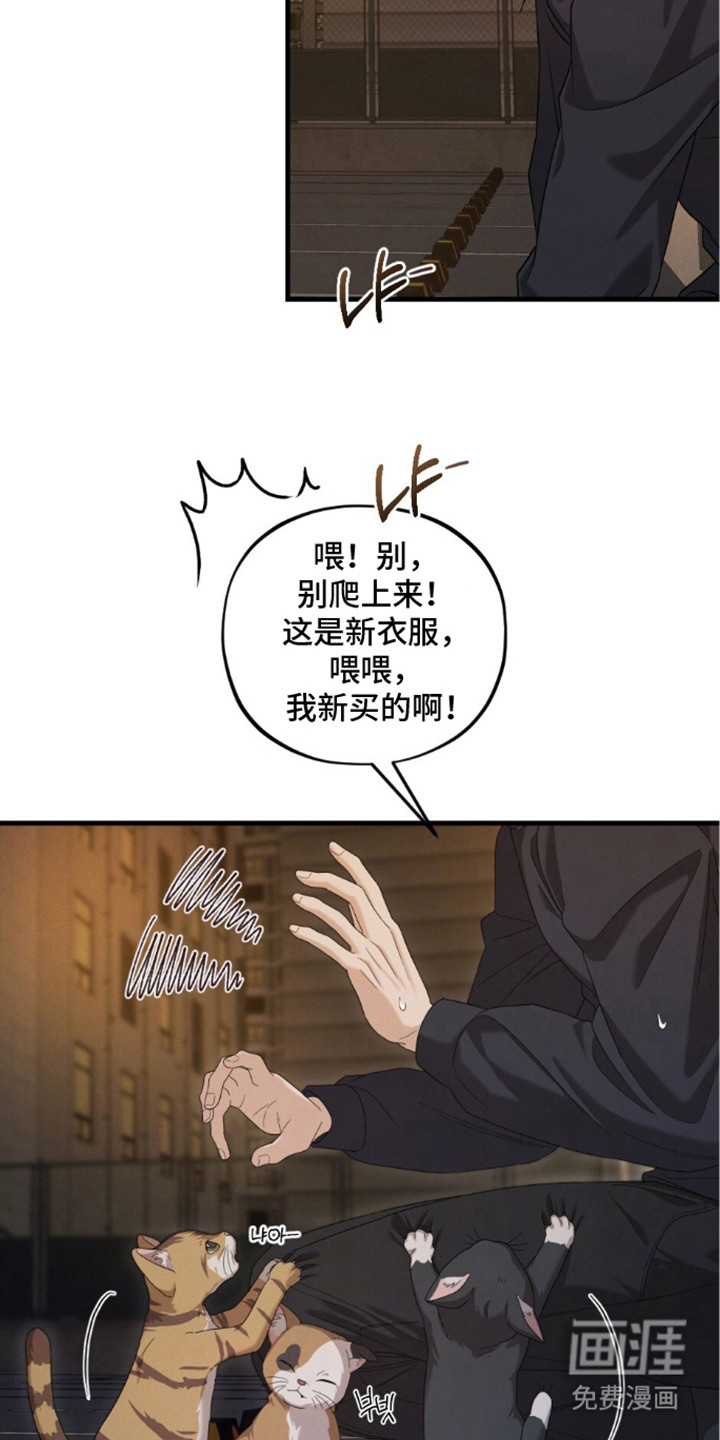亲密对手戏漫画-图19