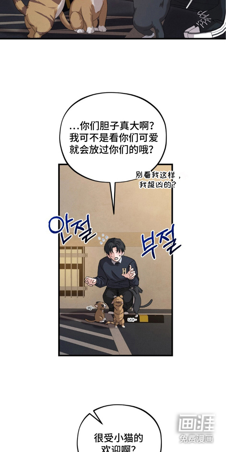 亲密对手戏漫画-图20