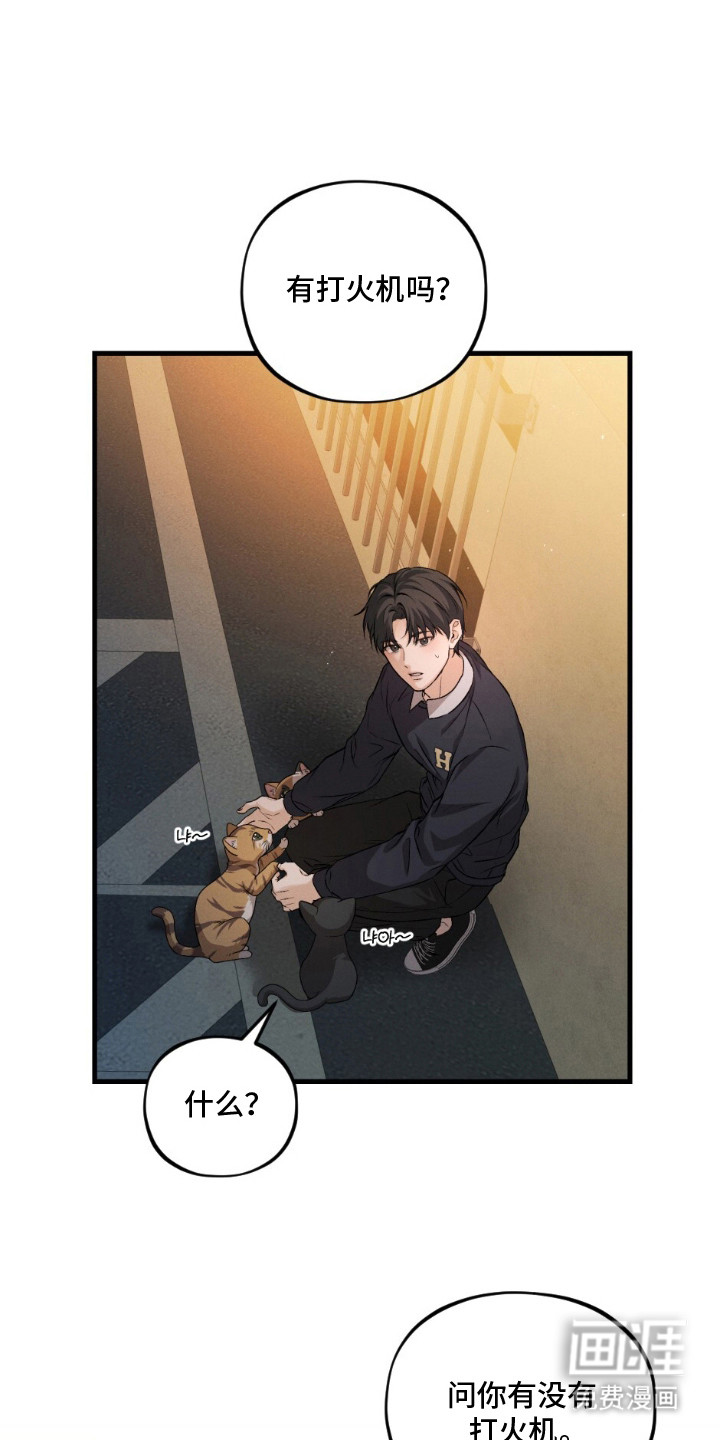 亲密对手戏漫画-图0