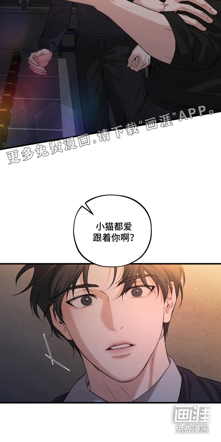 亲密对手戏漫画-图9