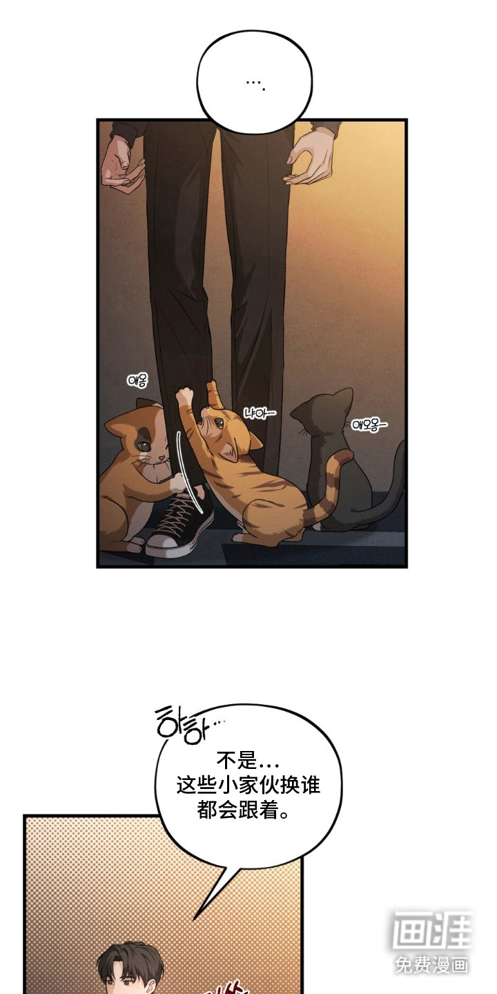 亲密对手戏漫画-图10