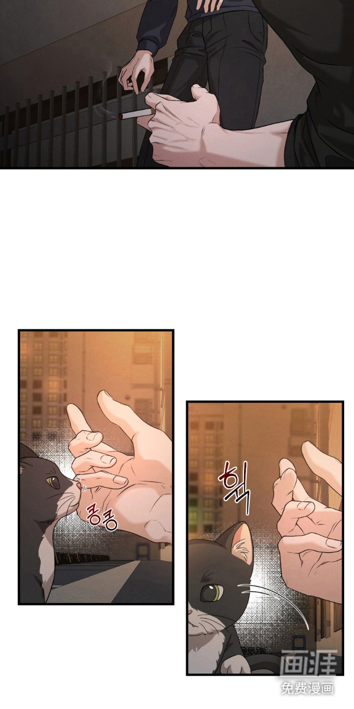 亲密对手戏漫画-图12