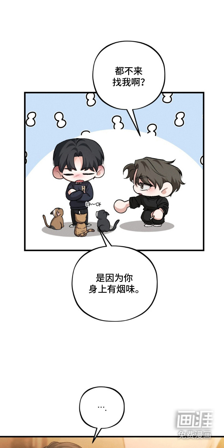 亲密对手戏漫画-图13