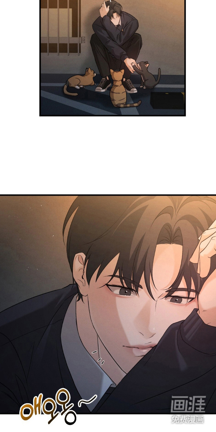 亲密对手戏漫画-图5