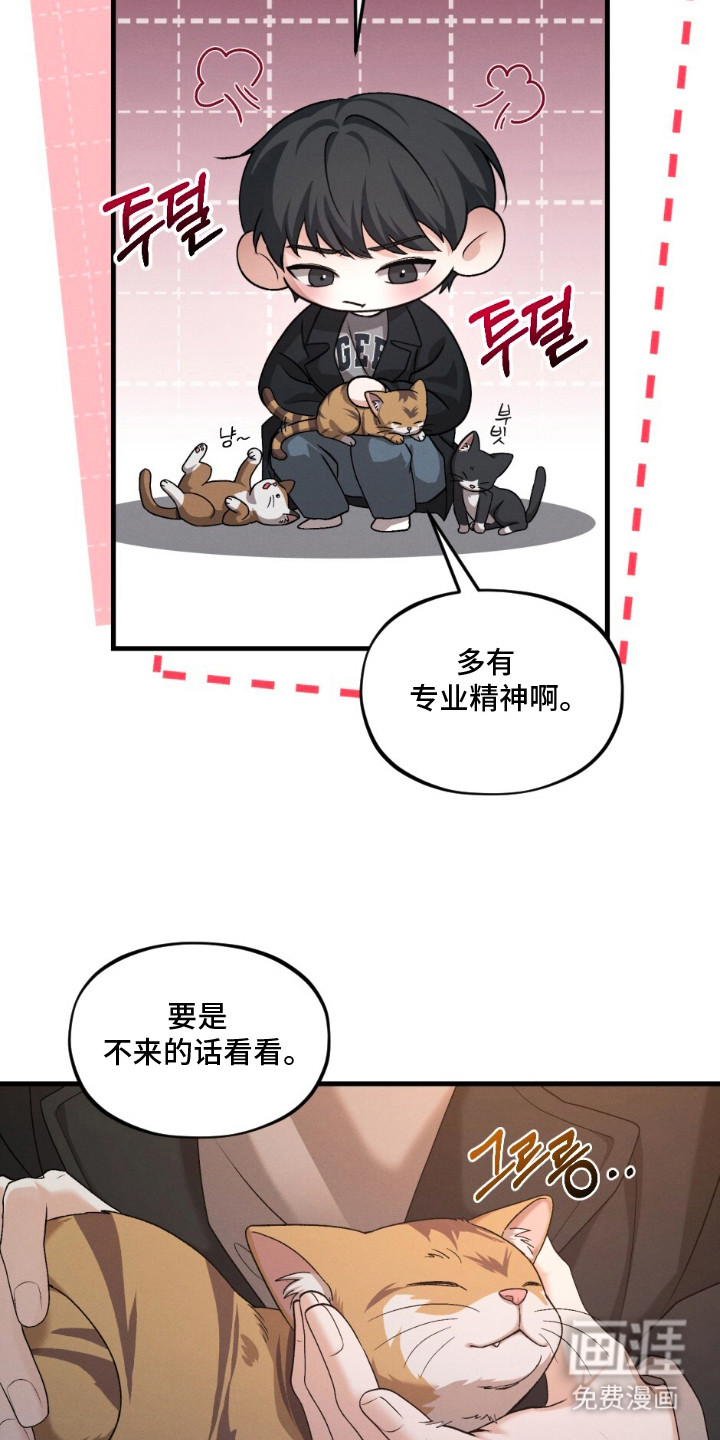 亲密对手戏漫画-图12