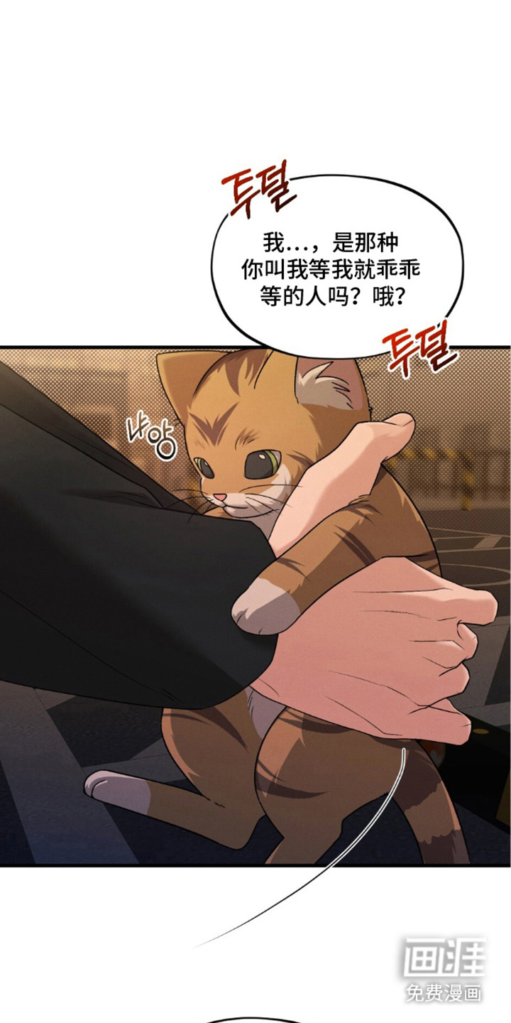 亲密对手戏漫画-图12