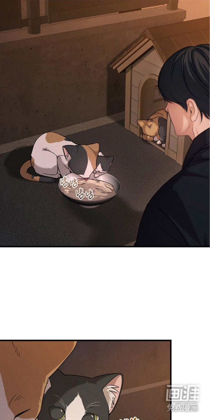 亲密对手戏漫画-图17