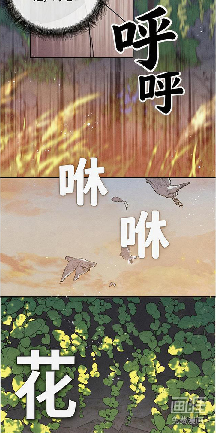 倾城伪妆漫画-图13