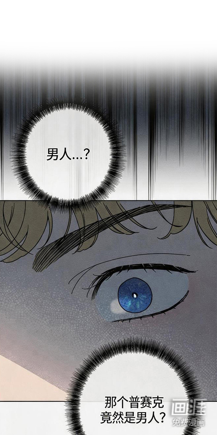 倾城伪妆漫画-图0