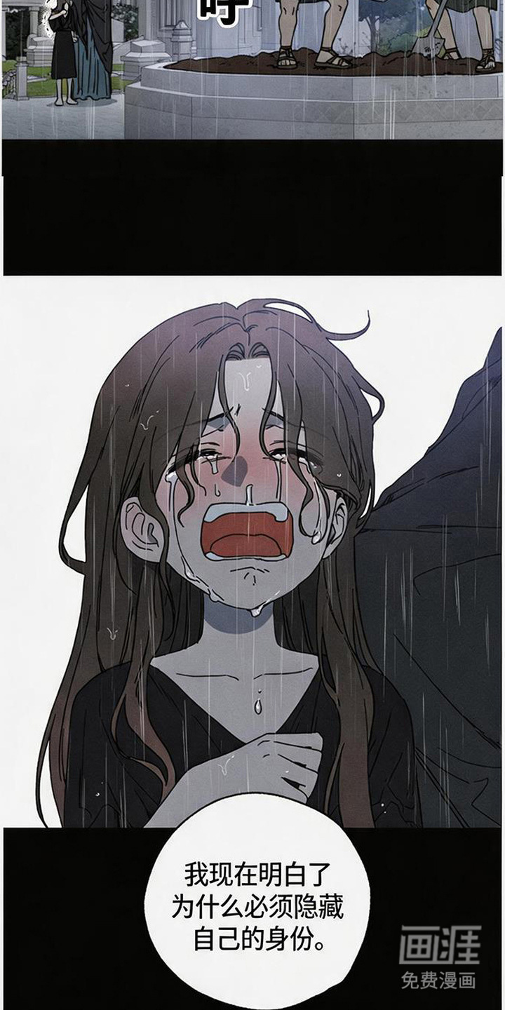 倾城伪妆漫画-图13