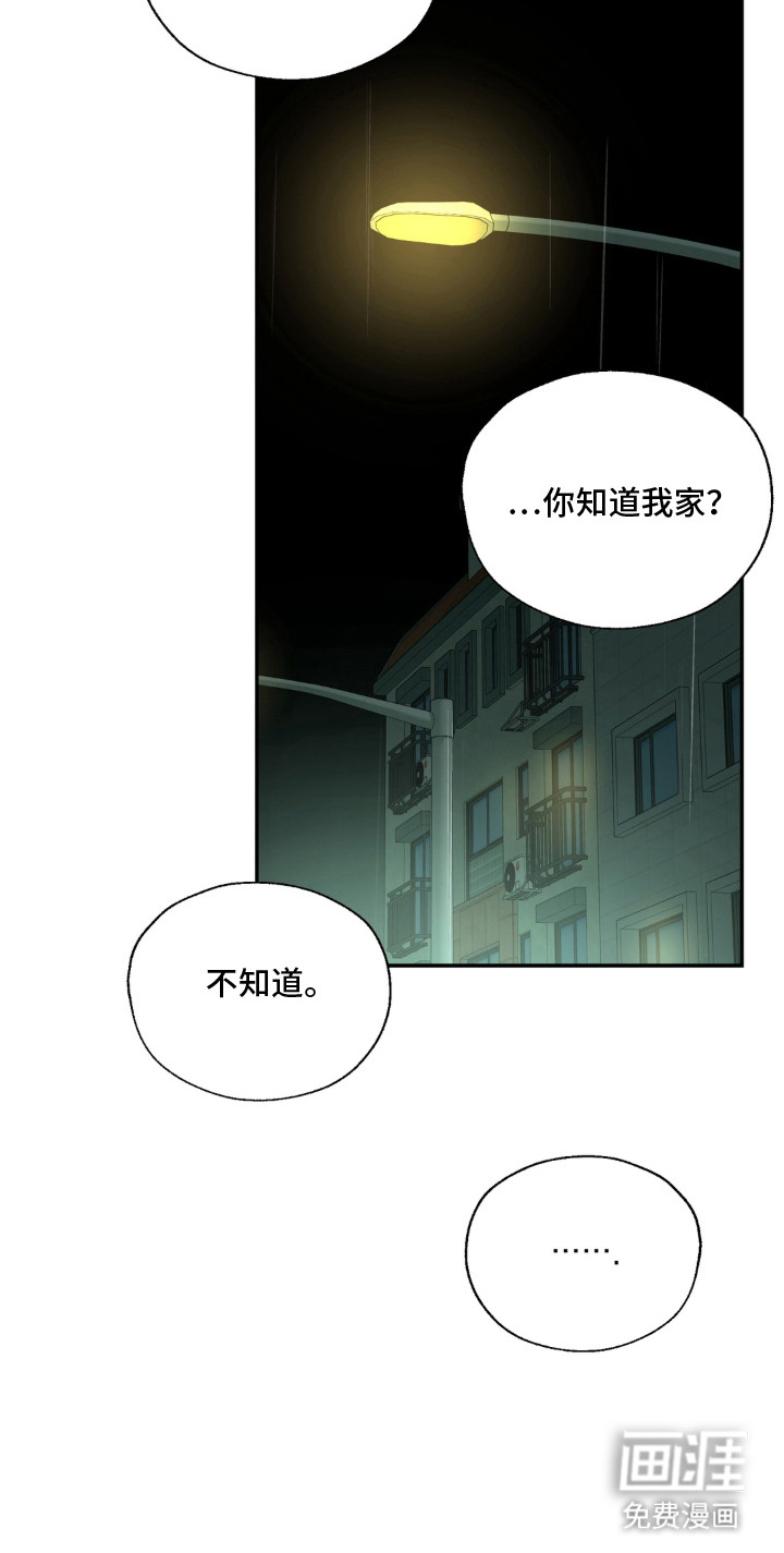 情债难逃漫画-图22