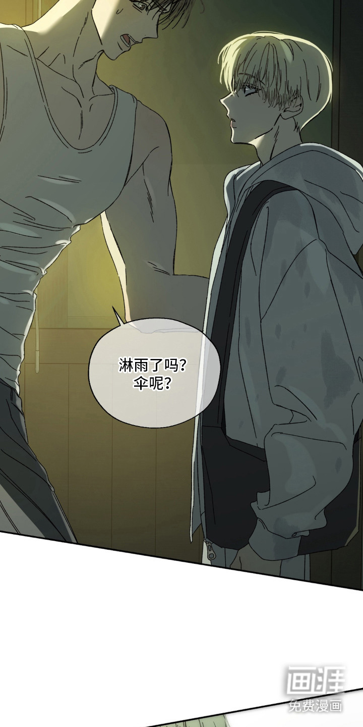 情债难逃漫画-图8