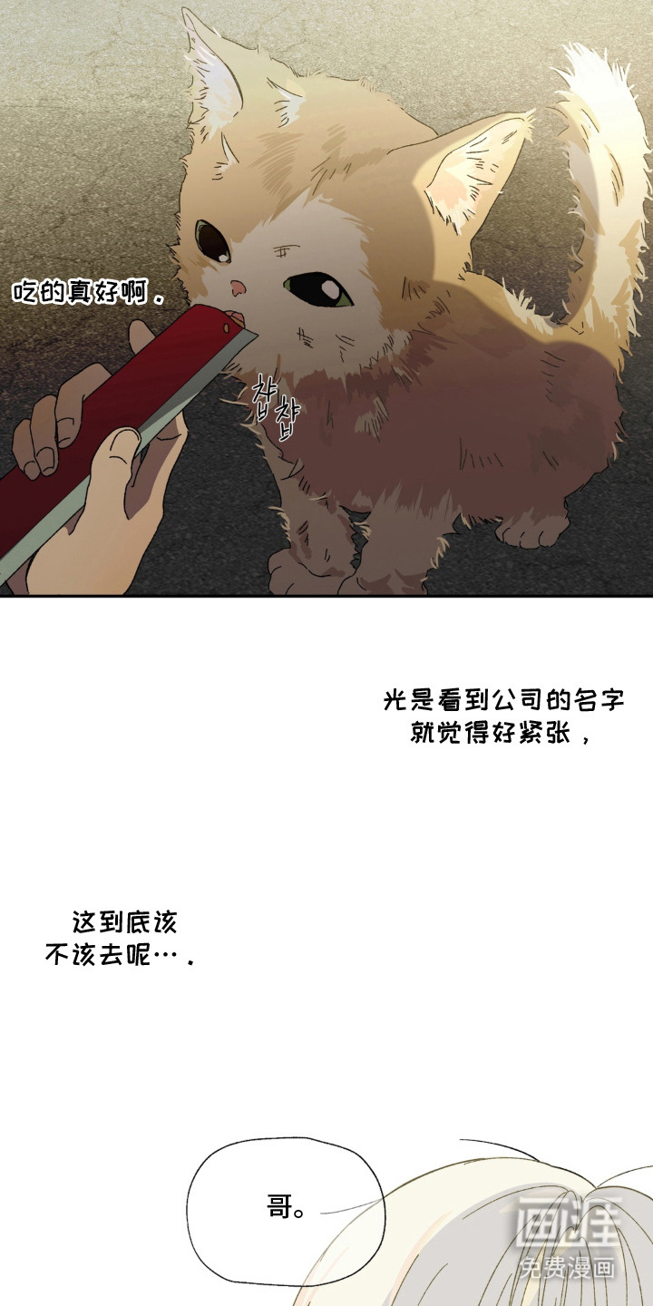 情债难逃漫画-图19