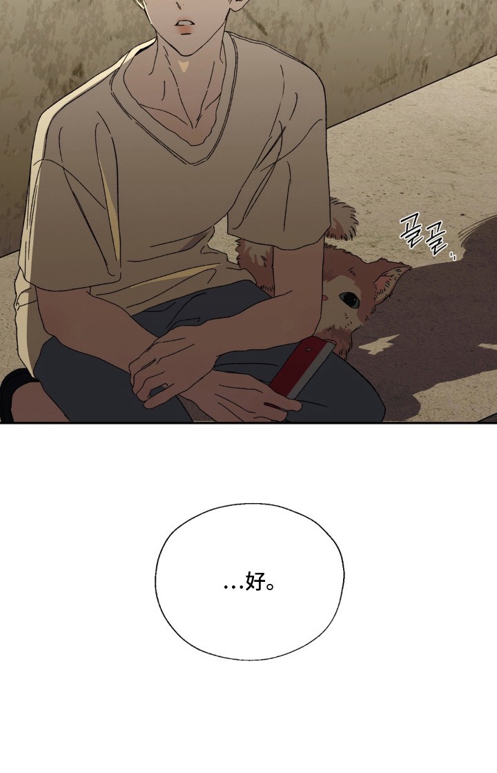 情债难逃漫画-图22