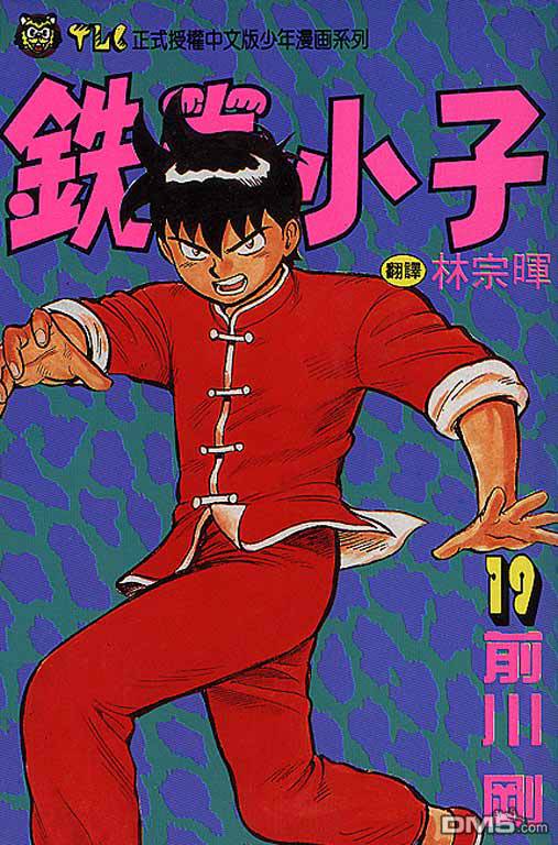 铁拳小子第19卷图