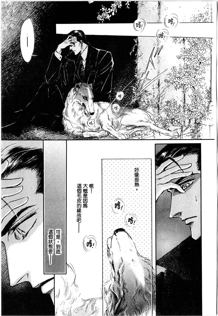 千变羽翼全1卷图