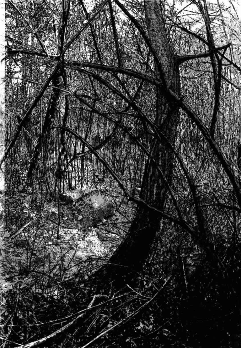 请叫我英雄 第4卷 第23页