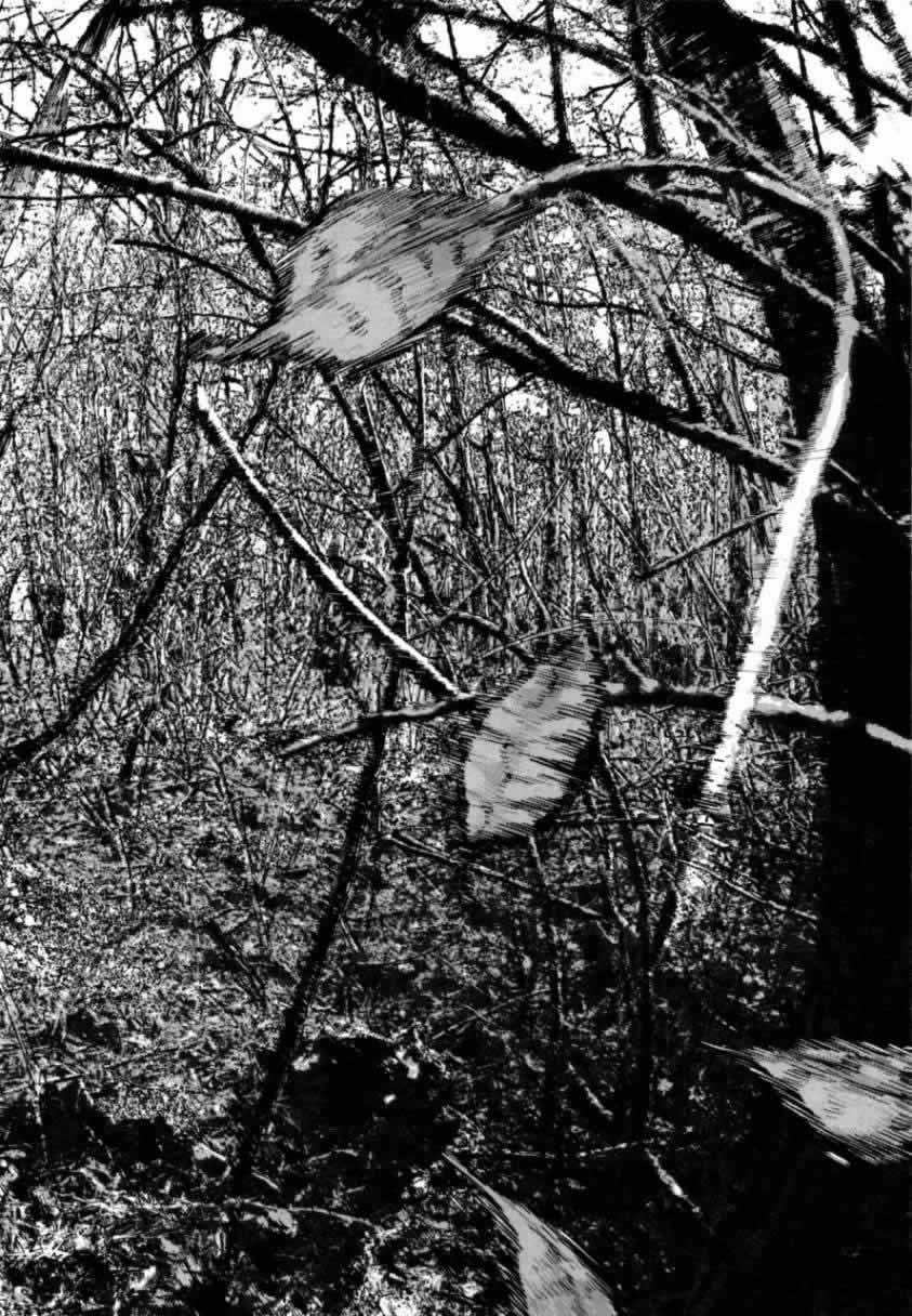 请叫我英雄 第4卷 第25页