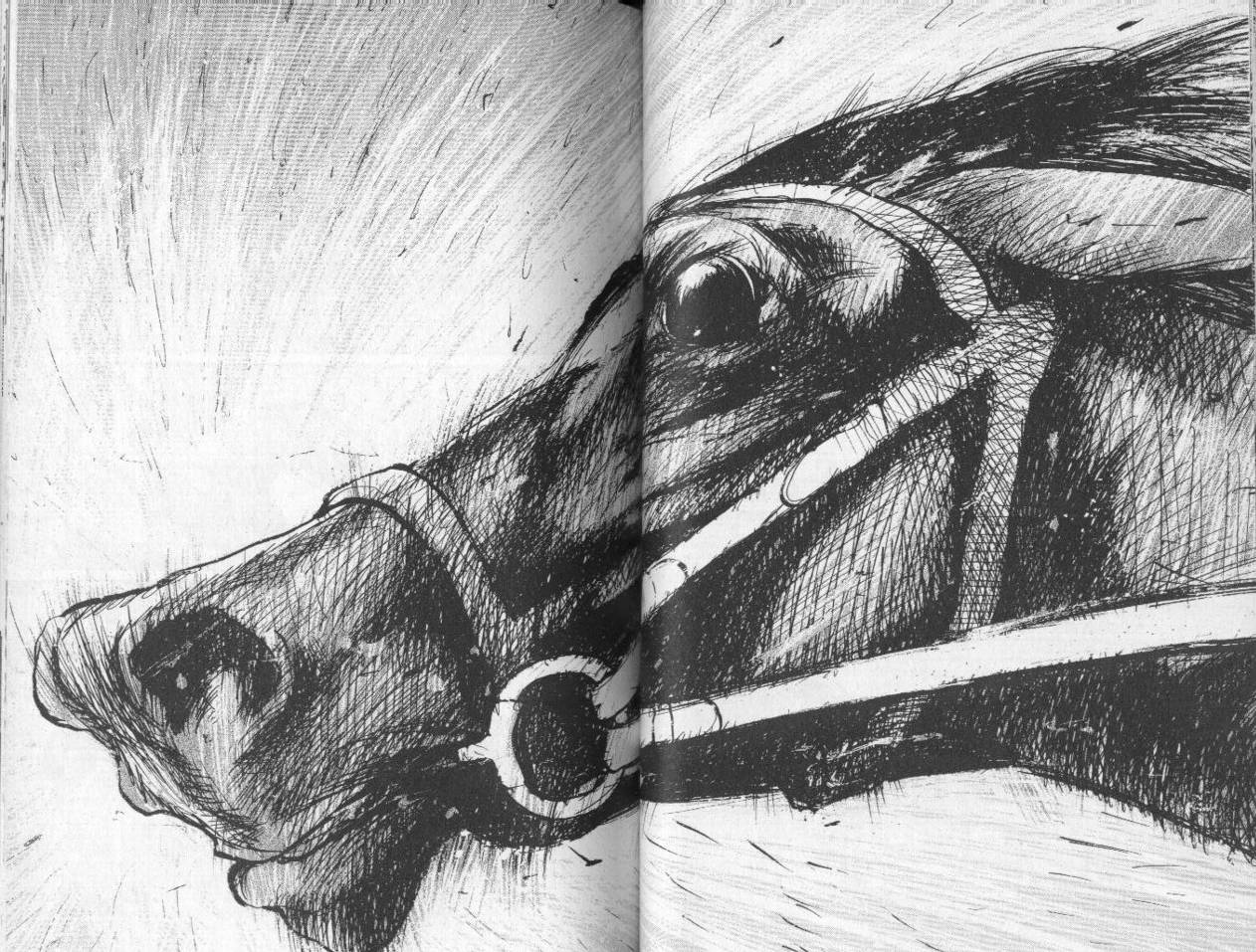 骑师路途 第8卷 第45页