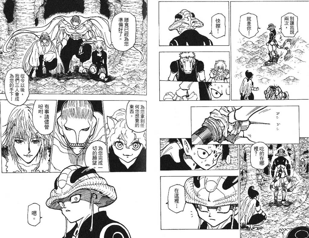 全职猎人第21卷图