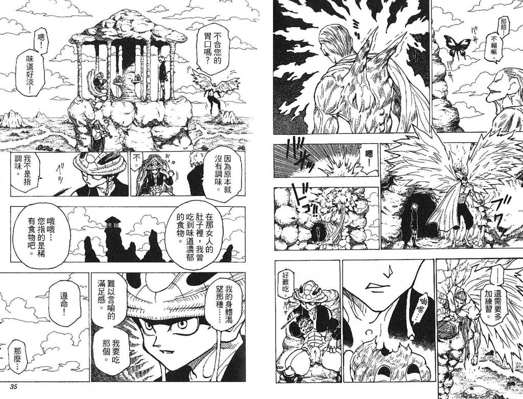 全职猎人第21卷图