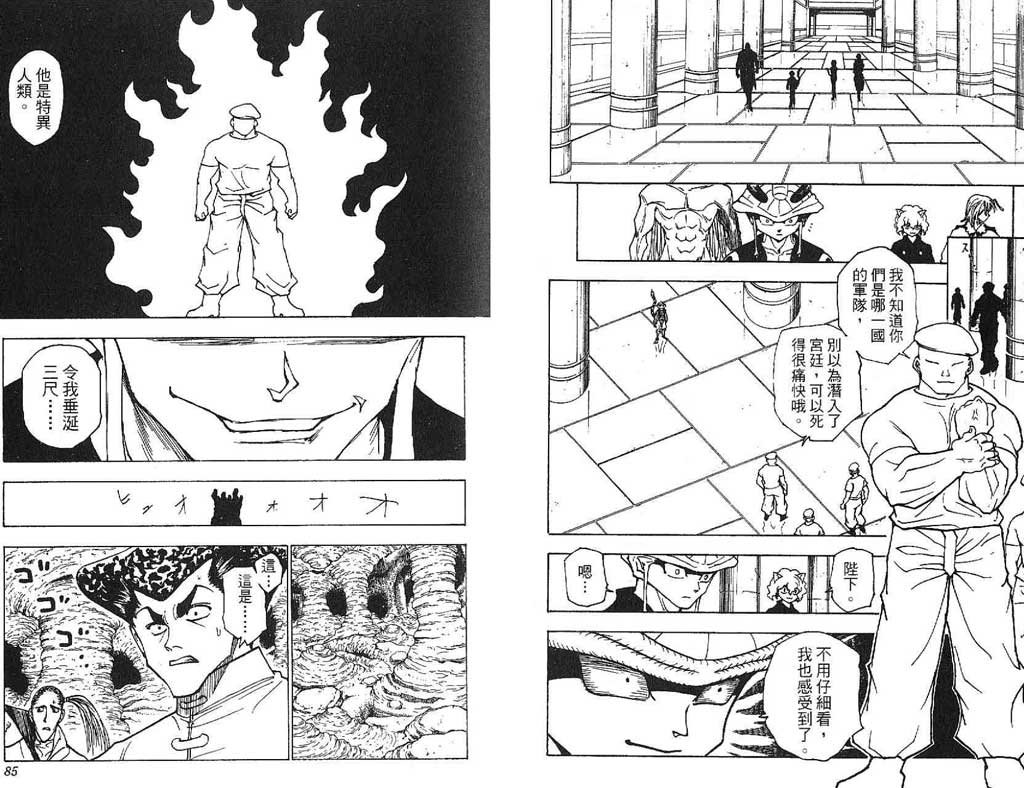 全职猎人第21卷图