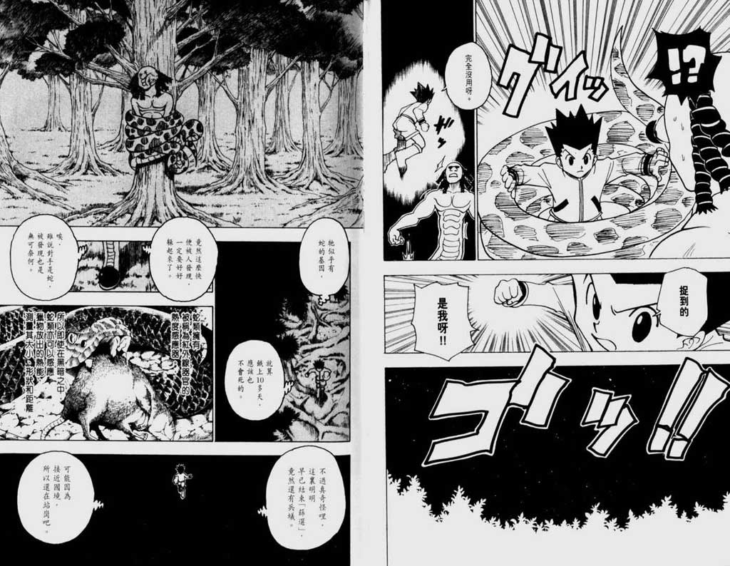 全职猎人第22卷图